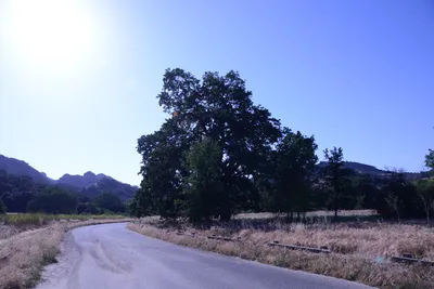 DSC_2072 (Large).JPG